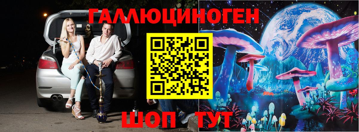 Псилоцибиновые грибы мухоморы Великие Луки